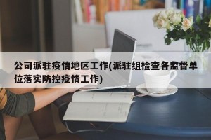 公司派驻疫情地区工作(派驻组检查各监督单位落实防控疫情工作)