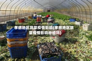 孝感地区蔬菜疫情影响(孝感地区蔬菜疫情影响种植吗)