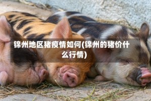锦州地区猪疫情如何(锦州的猪价什么行情)