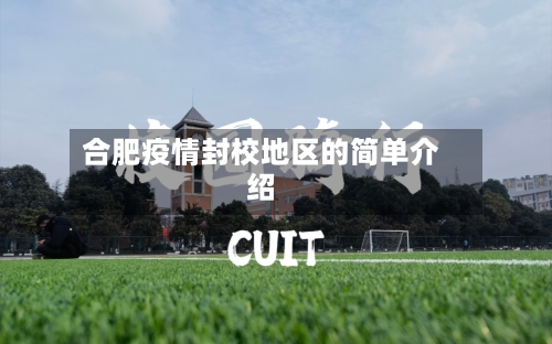 合肥疫情封校地区的简单介绍-第3张图片