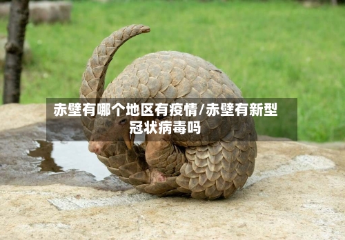 赤壁有哪个地区有疫情/赤壁有新型冠状病毒吗-第1张图片