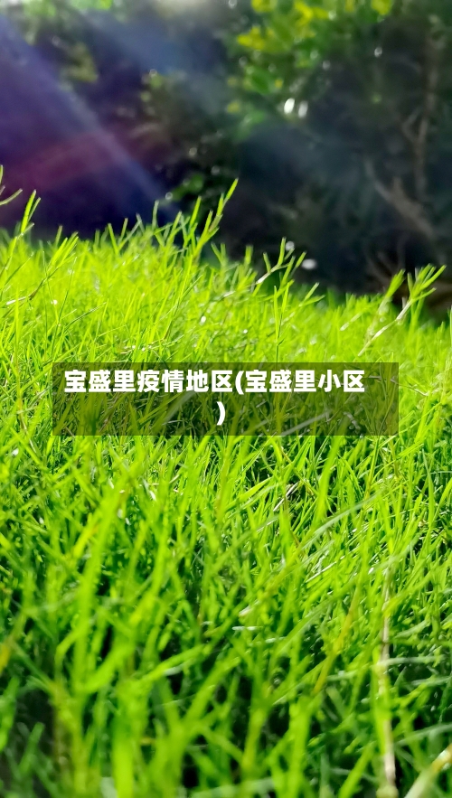 宝盛里疫情地区(宝盛里小区)-第1张图片